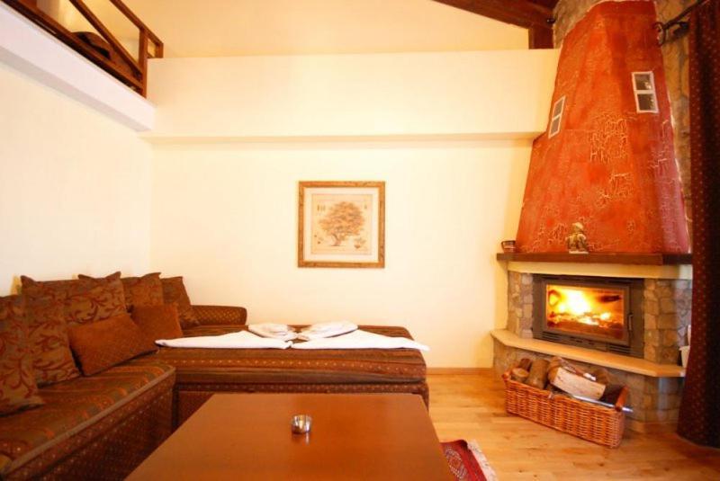 Vasilitsa Spa Resort Grewena Pokój zdjęcie
