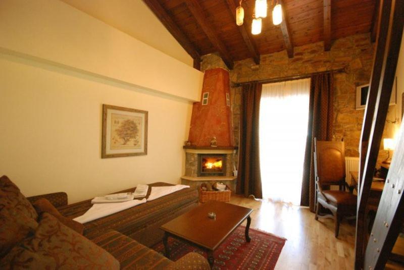 Vasilitsa Spa Resort Grewena Pokój zdjęcie