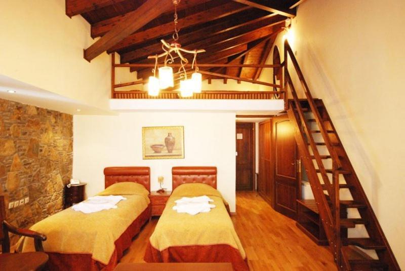 Vasilitsa Spa Resort Grewena Pokój zdjęcie