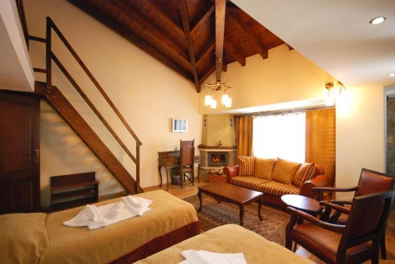Vasilitsa Spa Resort Grewena Pokój zdjęcie