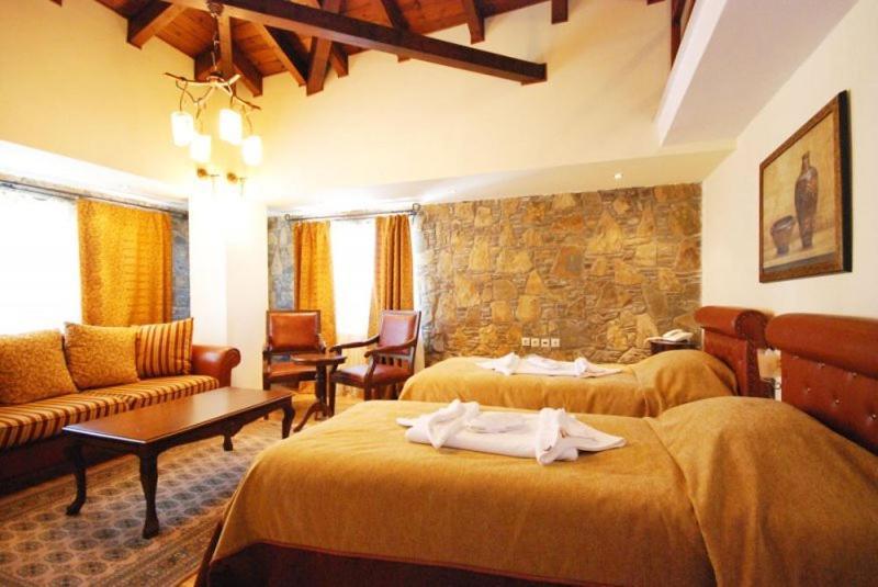 Vasilitsa Spa Resort Grewena Pokój zdjęcie